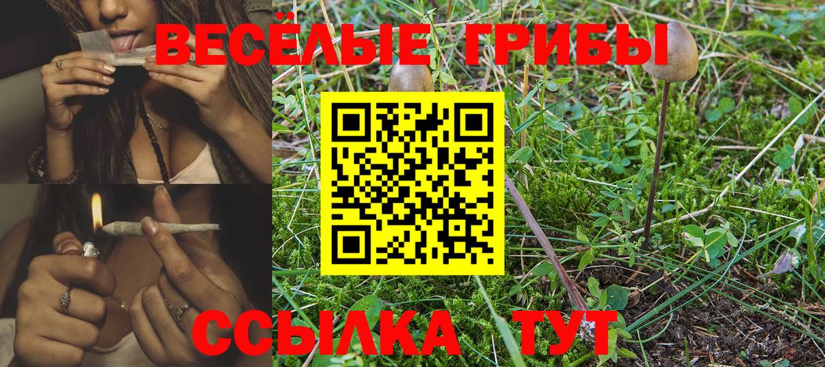 Галлюциногенные грибы GOLDEN TEACHER Сланцы